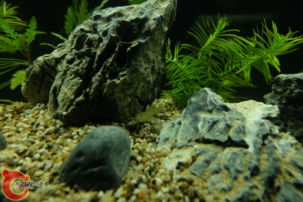 DSCF1711.JPG