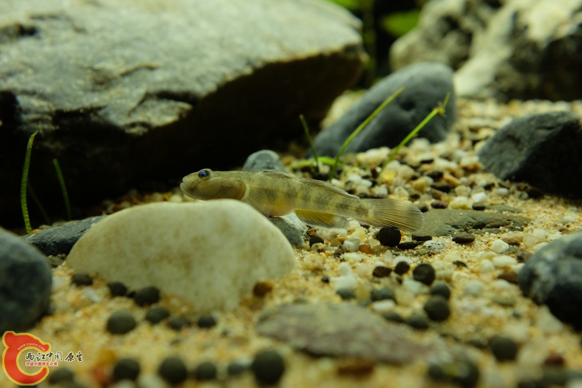 DSCF1789.JPG