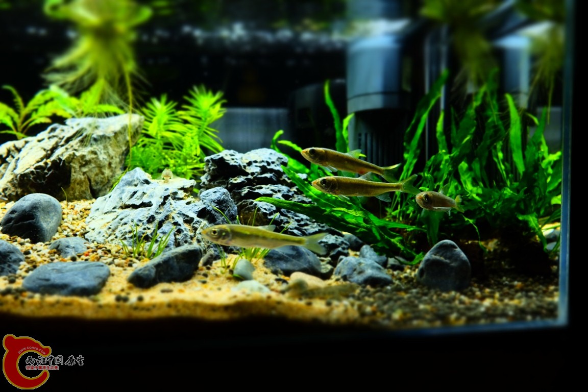 DSCF1783.JPG