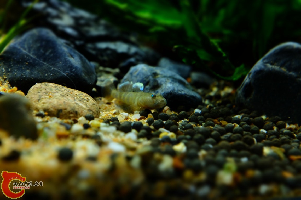 DSCF1778.JPG