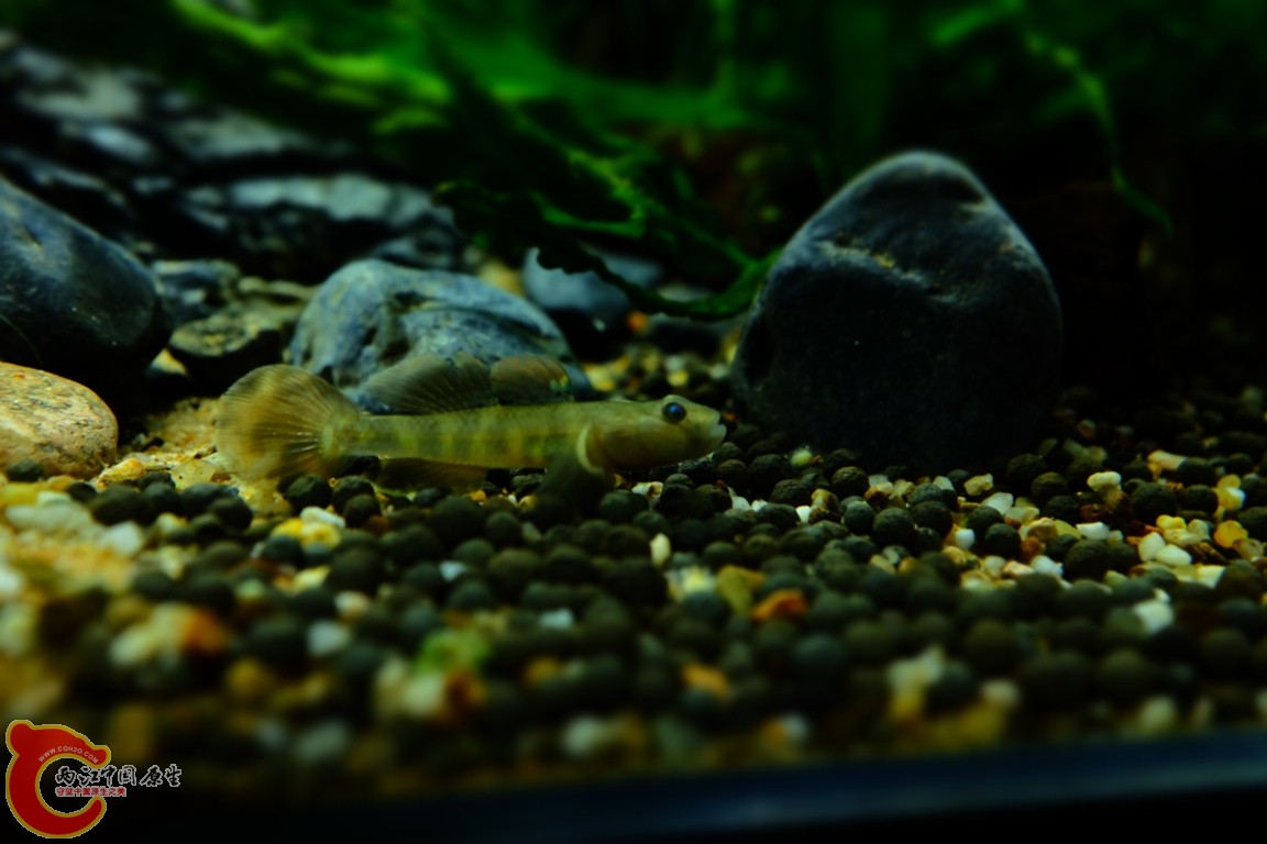 DSCF1777.JPG