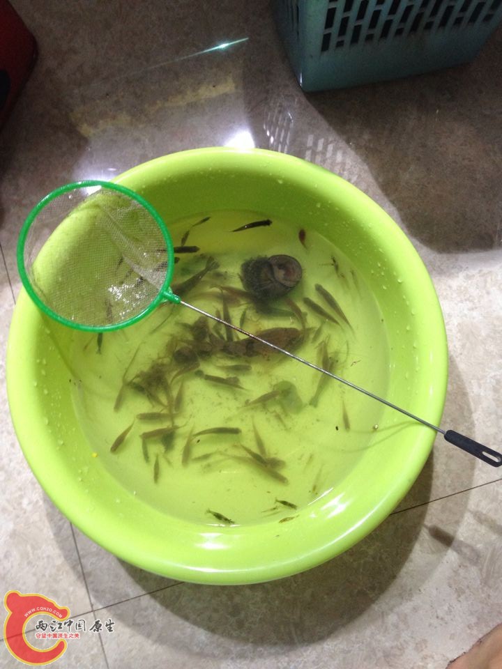 QQ图片20150506145916.jpg