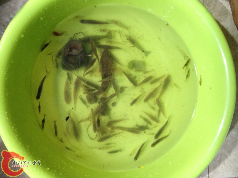 QQ图片20150506145920.jpg