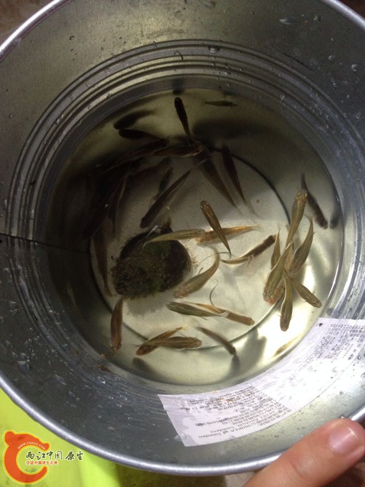 QQ图片20150506145942.jpg
