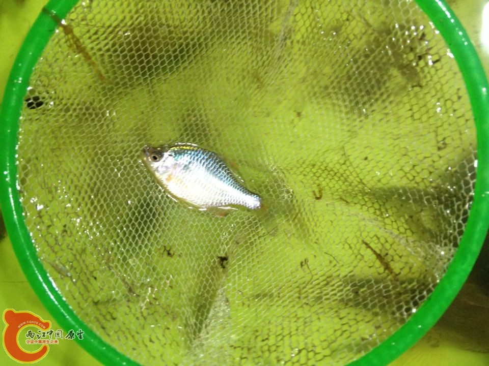 QQ图片20150506145946.jpg