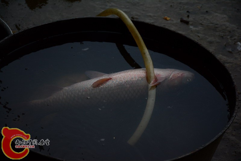 照片 409.jpg