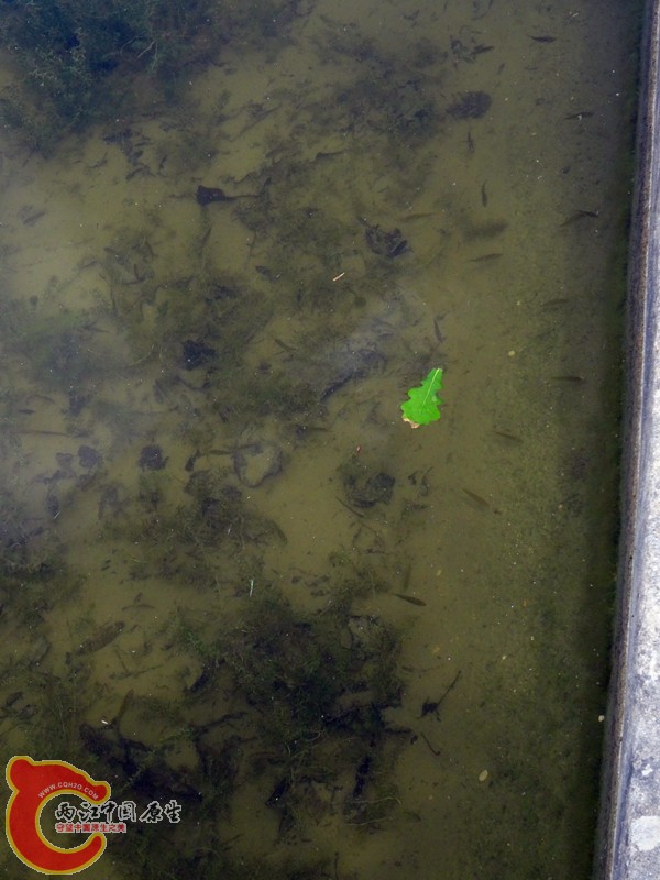 DSC01243_副本.jpg
