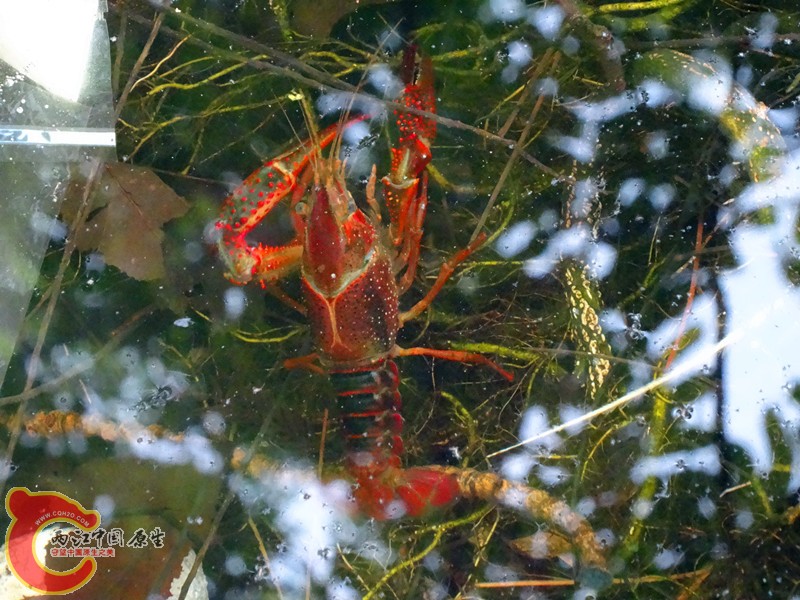 DSC01295_副本.jpg