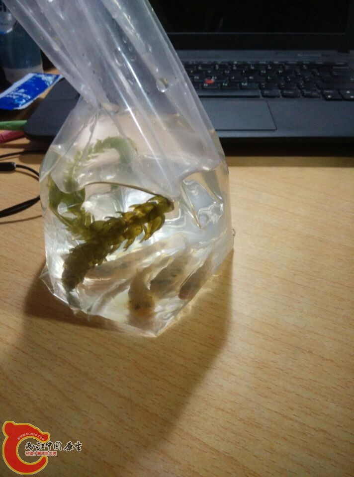 {4J5{IKT75RVTGH(JH_9SJ4.jpg