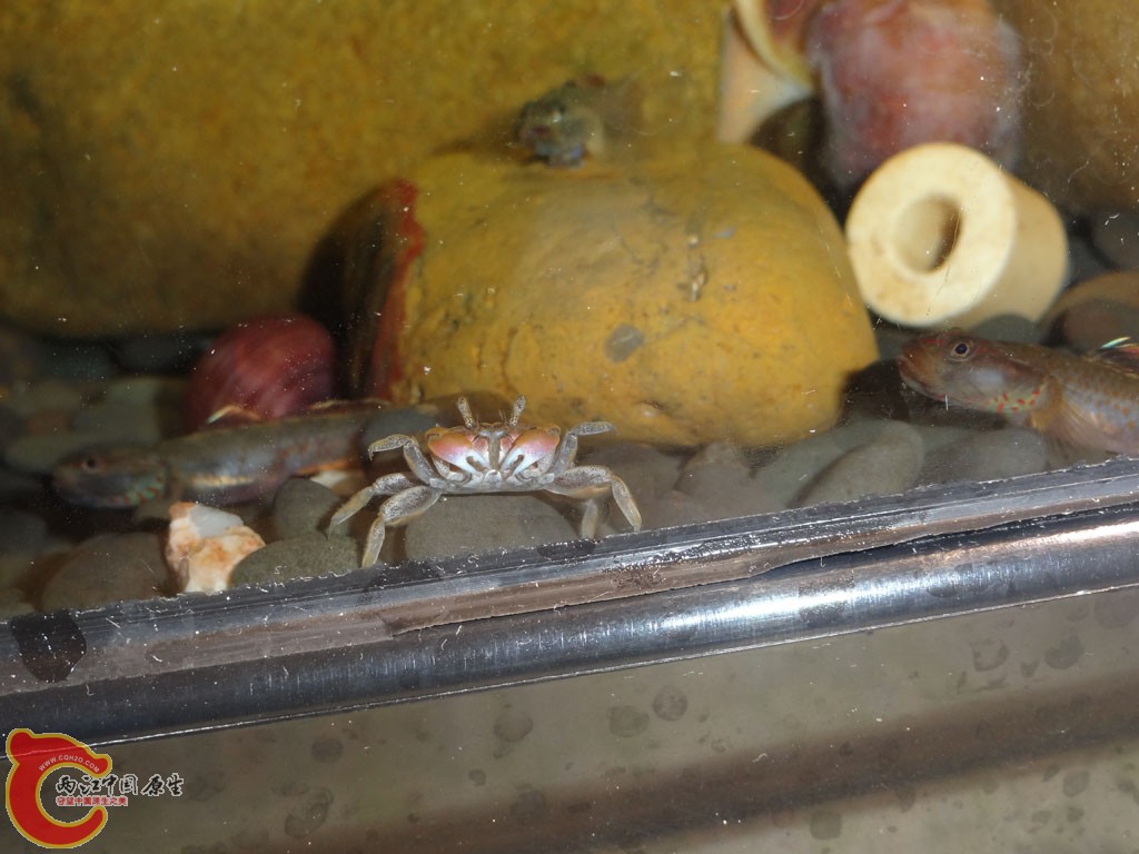 DSC01330.jpg