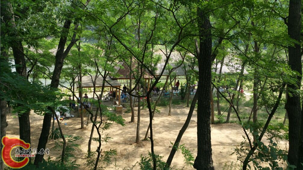 QQ图片20150606221941.jpg