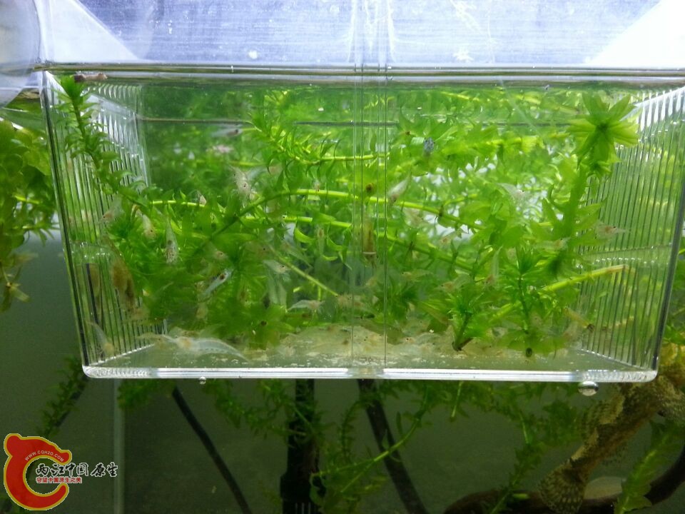 QQ图片20150616085211.jpg