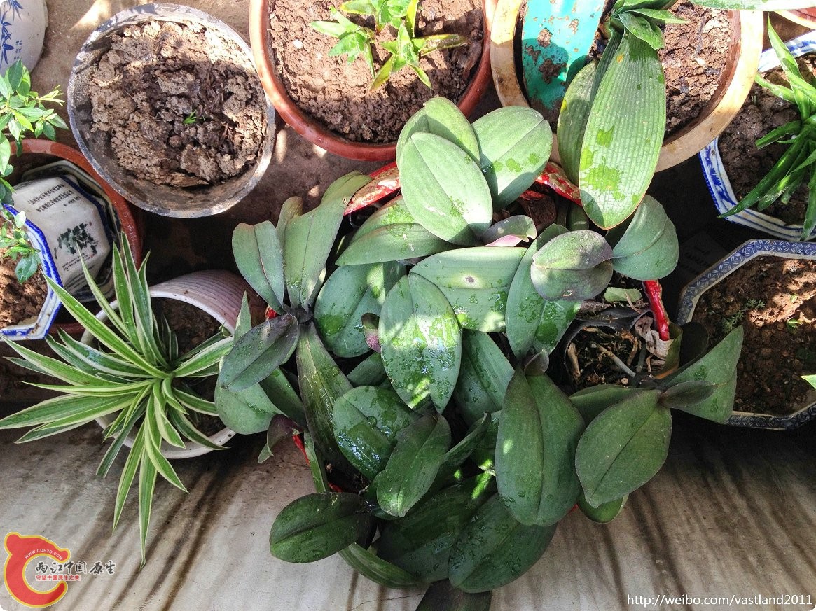 conew_conew_2015-06-25 10-22-28.jpg