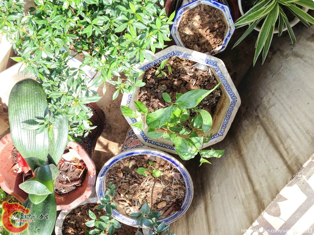 conew_conew_2015-06-25 10-23-02.jpg