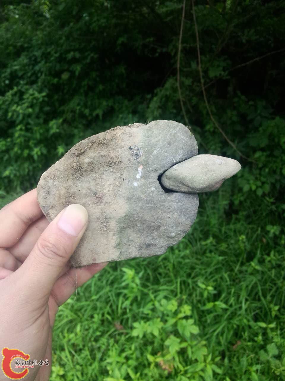 石头12，像不像吃豆子？