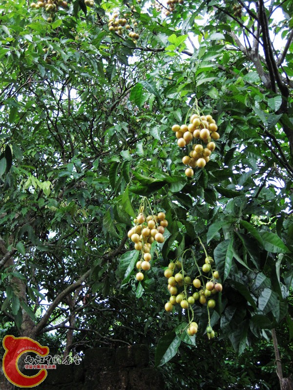 IMG_0017.jpg
