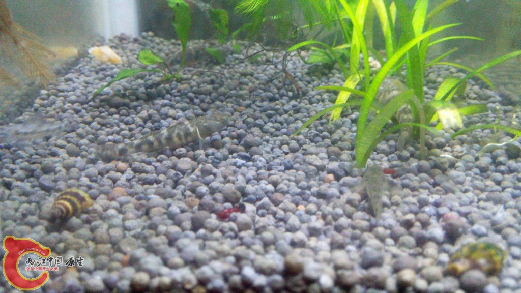 IMG_20150813_213358_副本.jpg