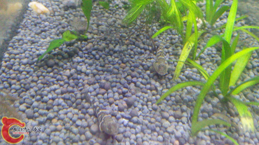 IMG_20150813_213529_副本.jpg