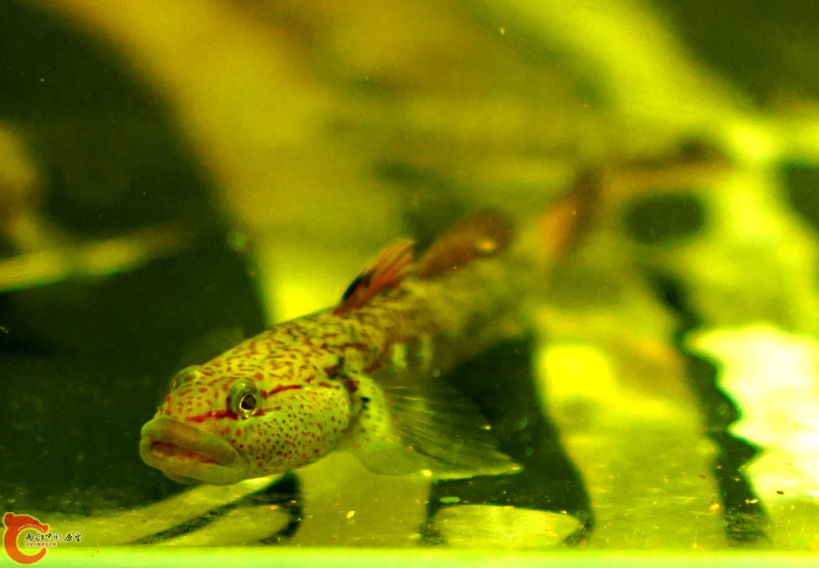 DSC09726_副本.jpg