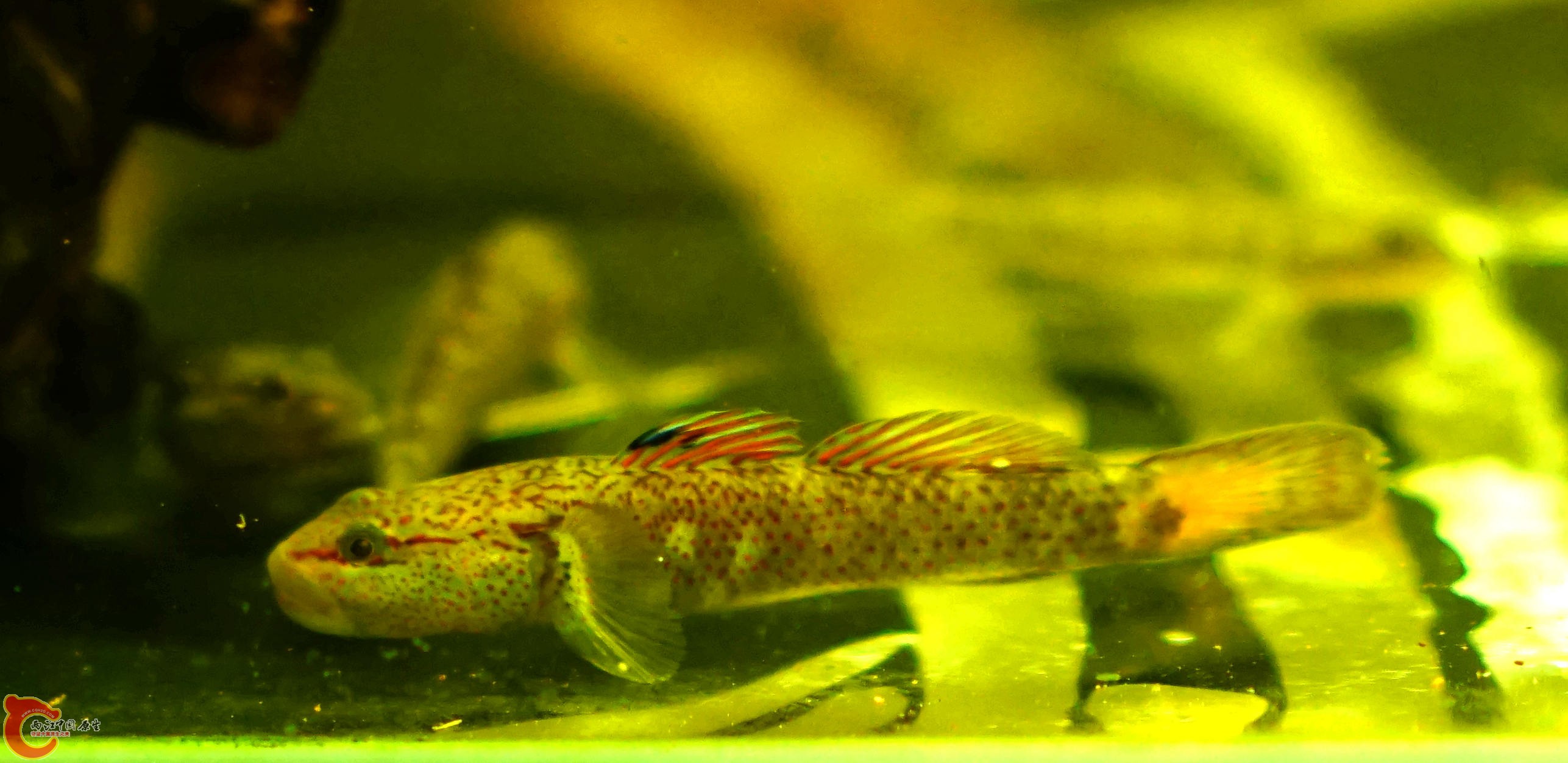 DSC09727_副本.jpg