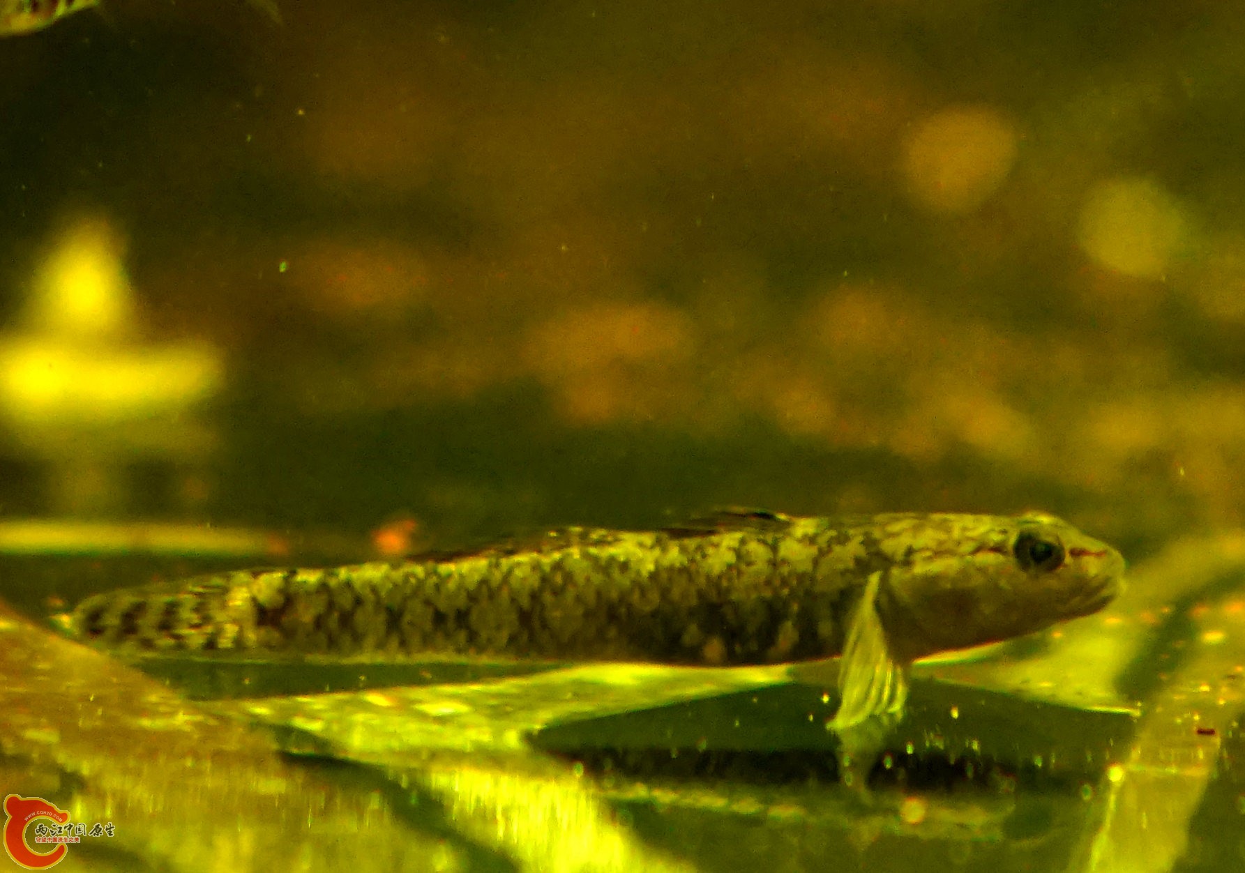 DSC09730_副本.jpg