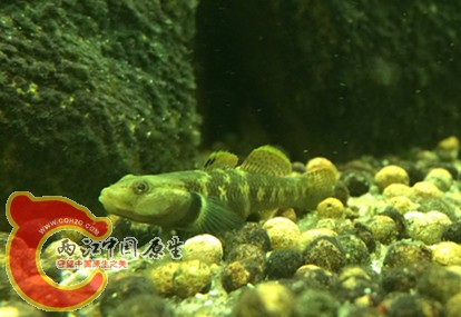 IMG_1263.JPG