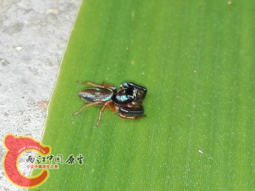 IMG_20150826_151658.jpg