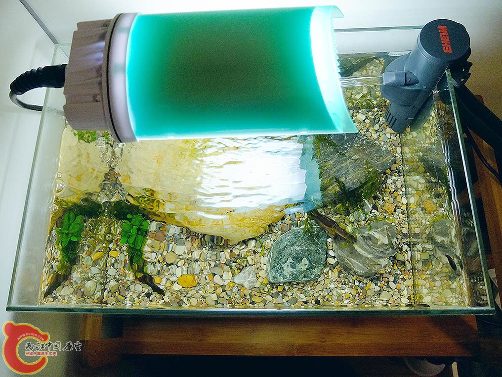 顶视