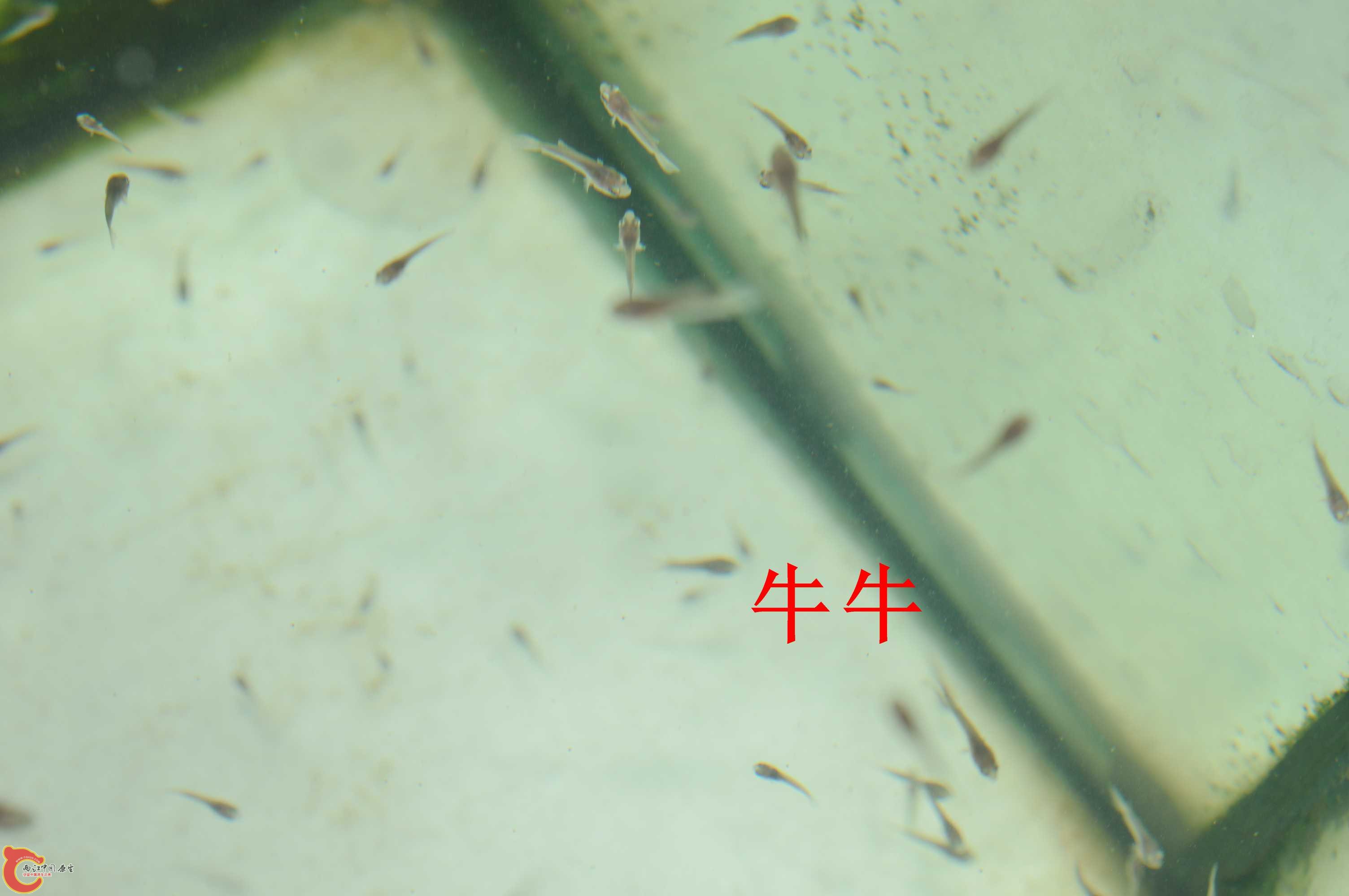 DSC_0007.jpg