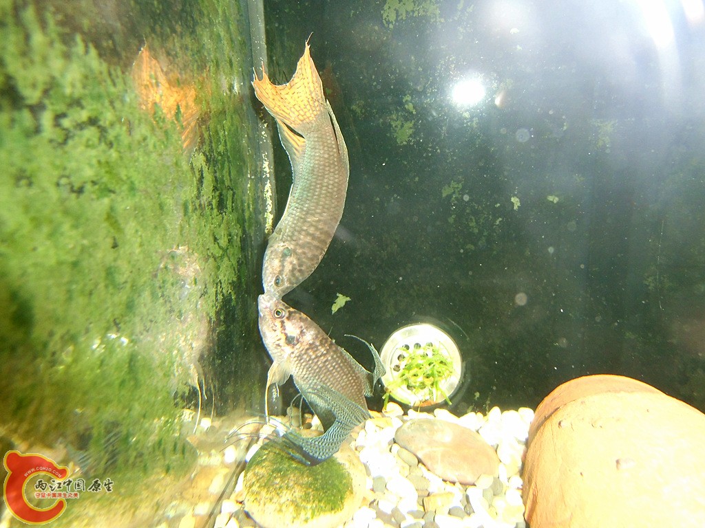 IMG_2424_副本.jpg