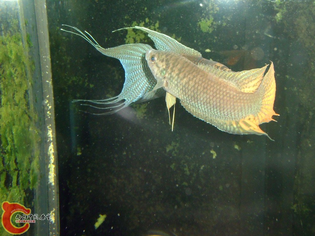 IMG_2508_副本.jpg