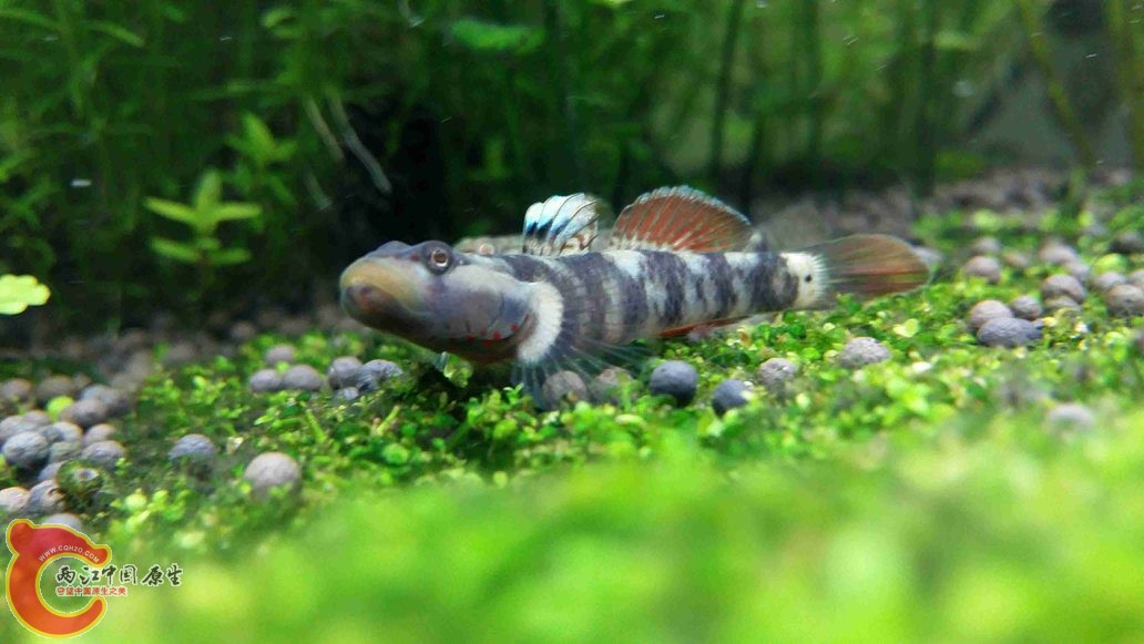 20150422_233117.jpg