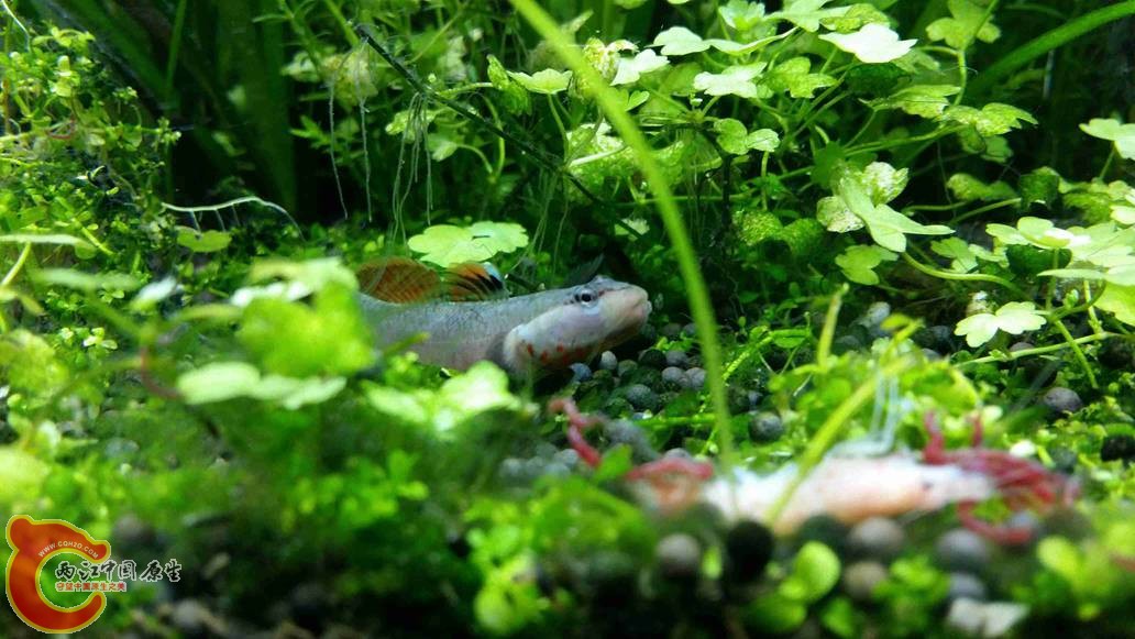 20150425_010630.jpg