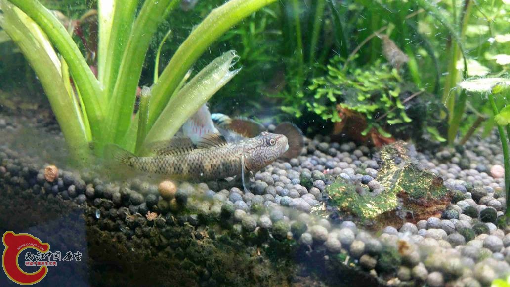 20150425_010658.jpg