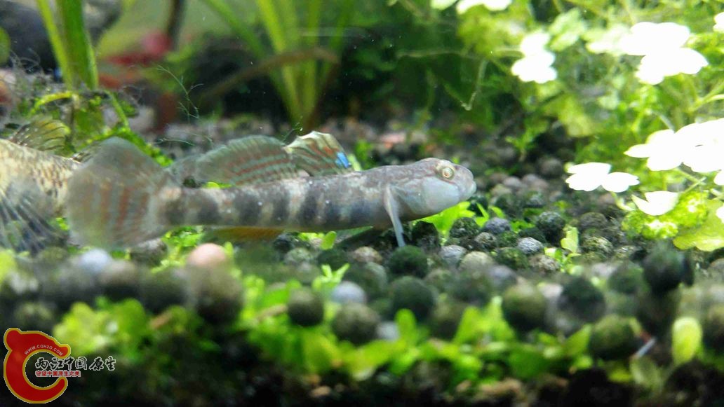 20150503_214644.jpg