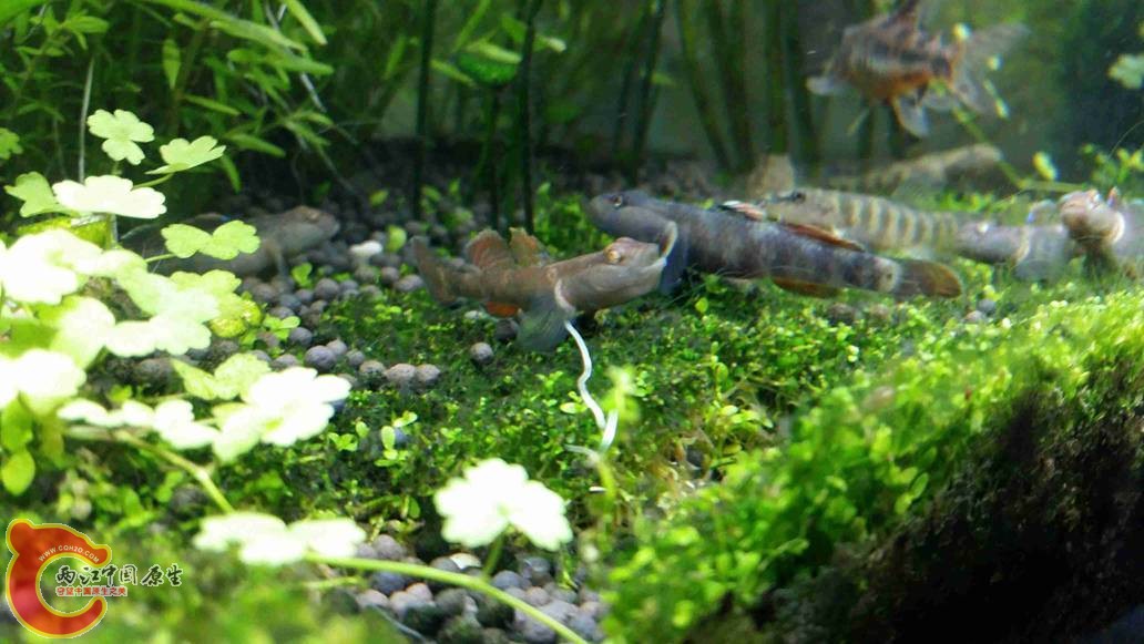 20150504_004739.jpg
