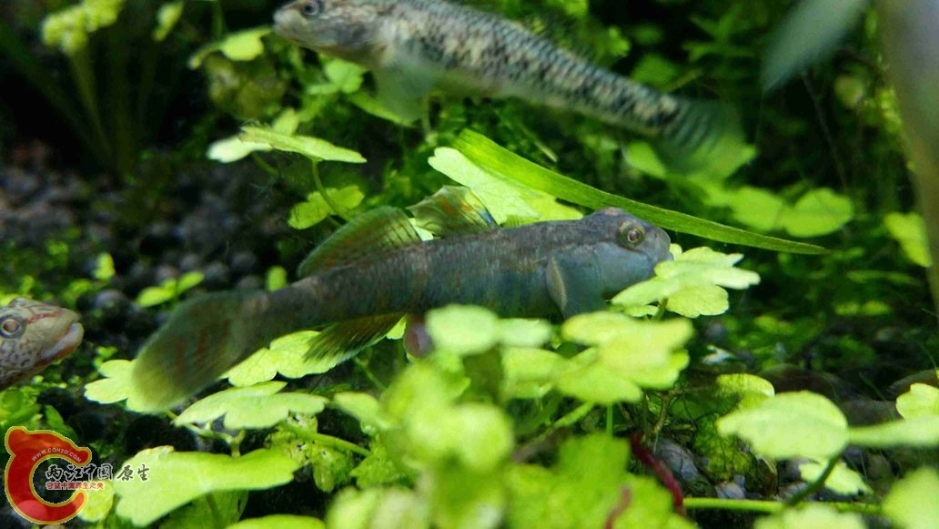 20150507_230458.jpg