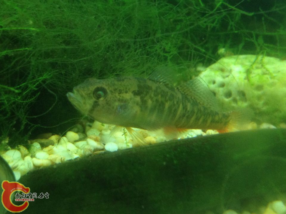 QQ图片20150922145403.jpg