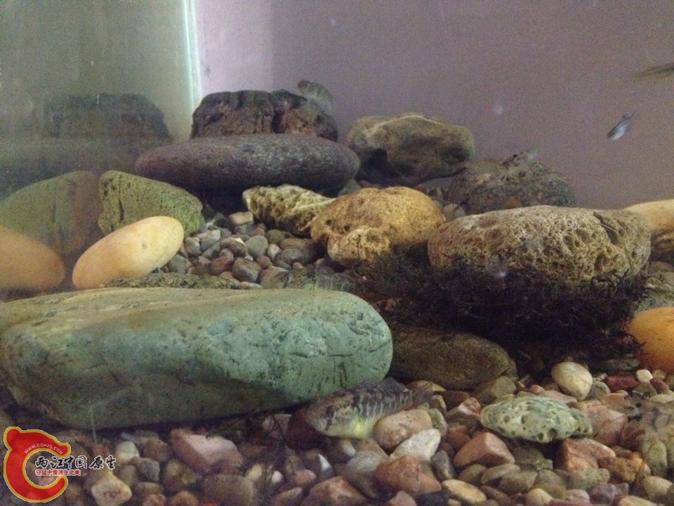 QQ图片20151007181736.jpg