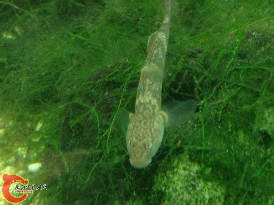 QQ图片20151013114716.jpg