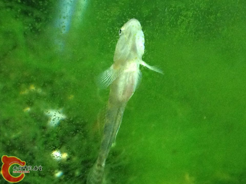 QQ图片20151013114829.jpg