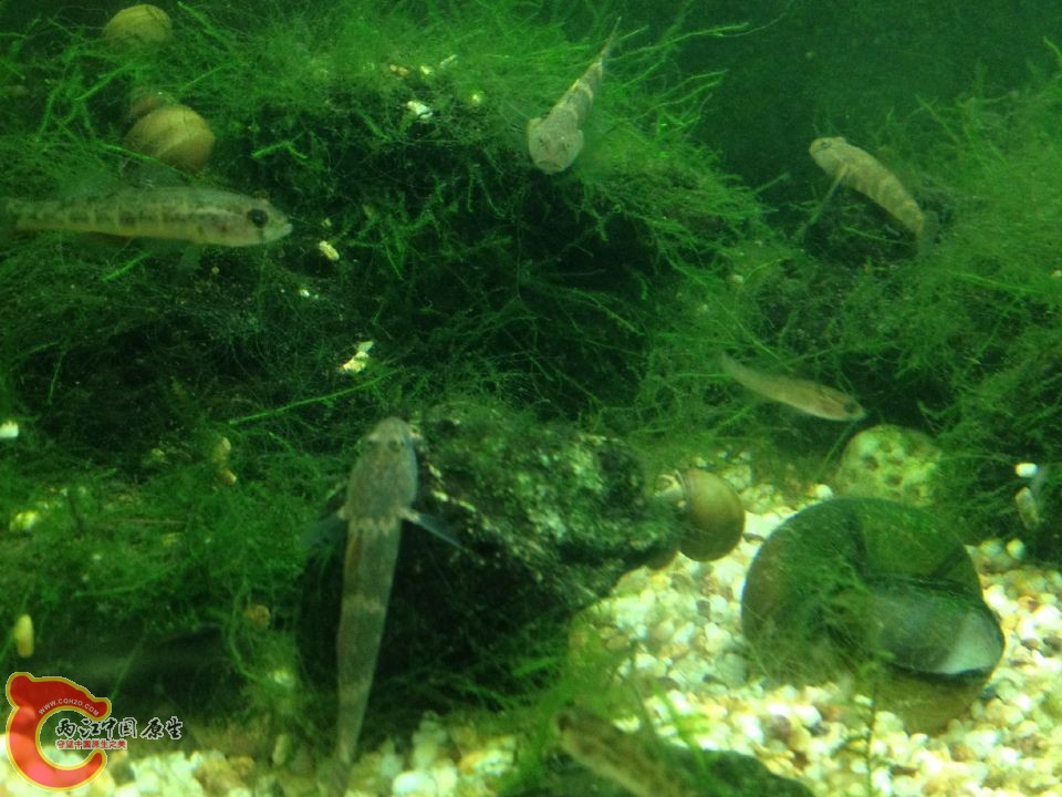 QQ图片20151013114733.jpg