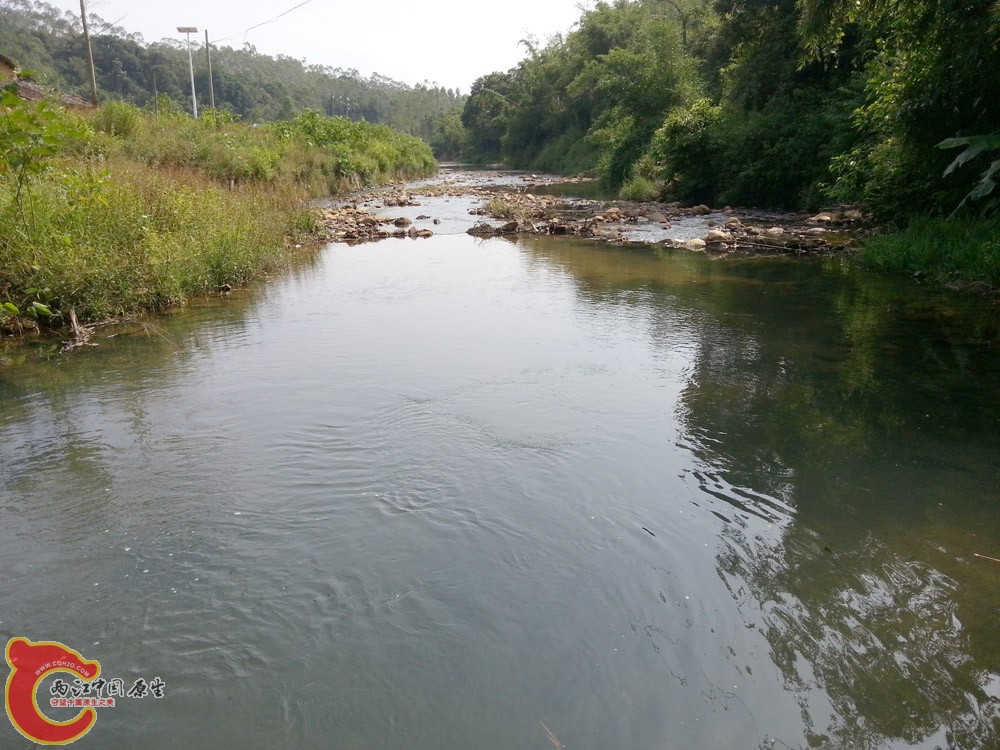 20151002_141501.jpg