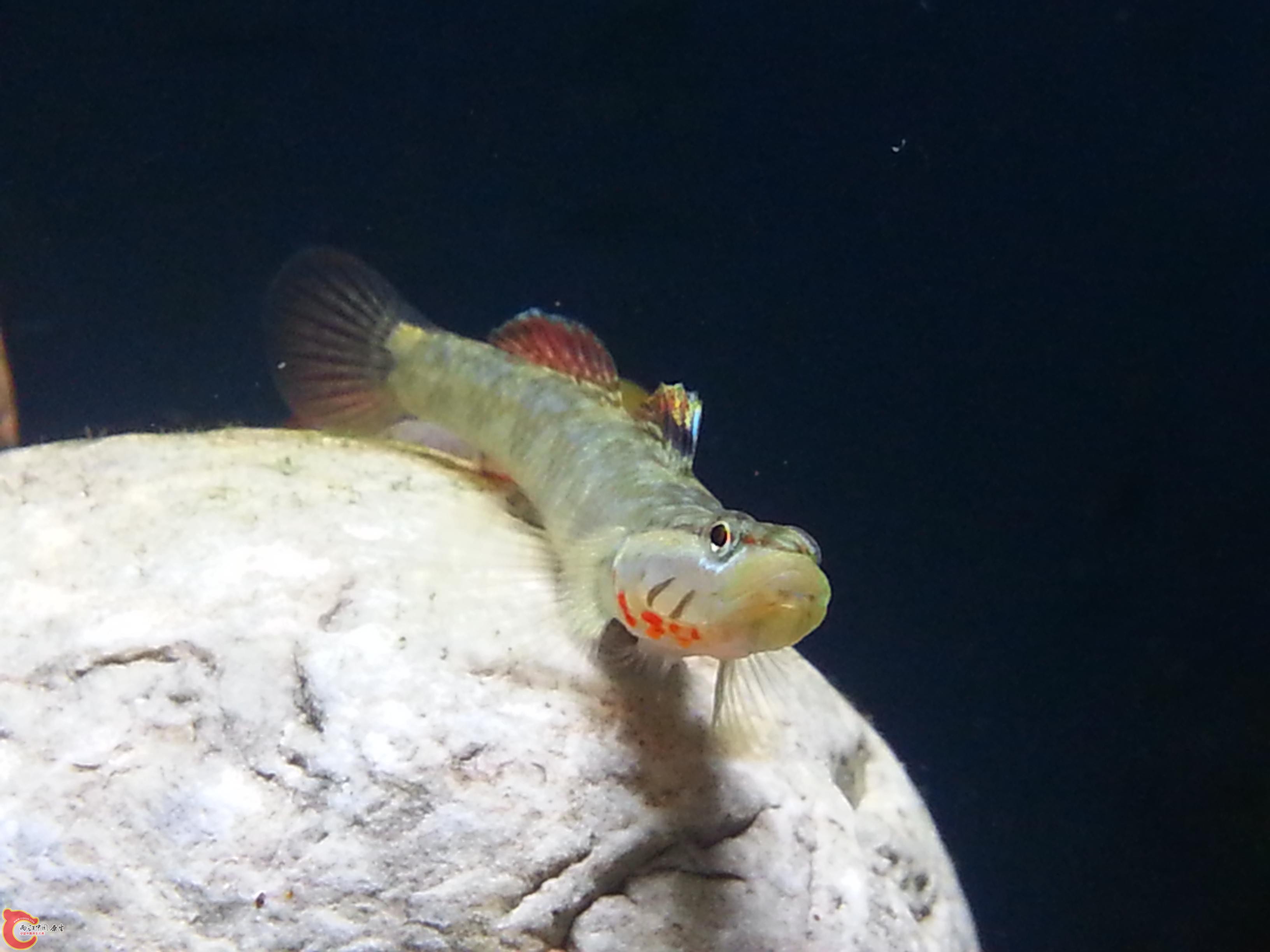 20151012_001121.JPG