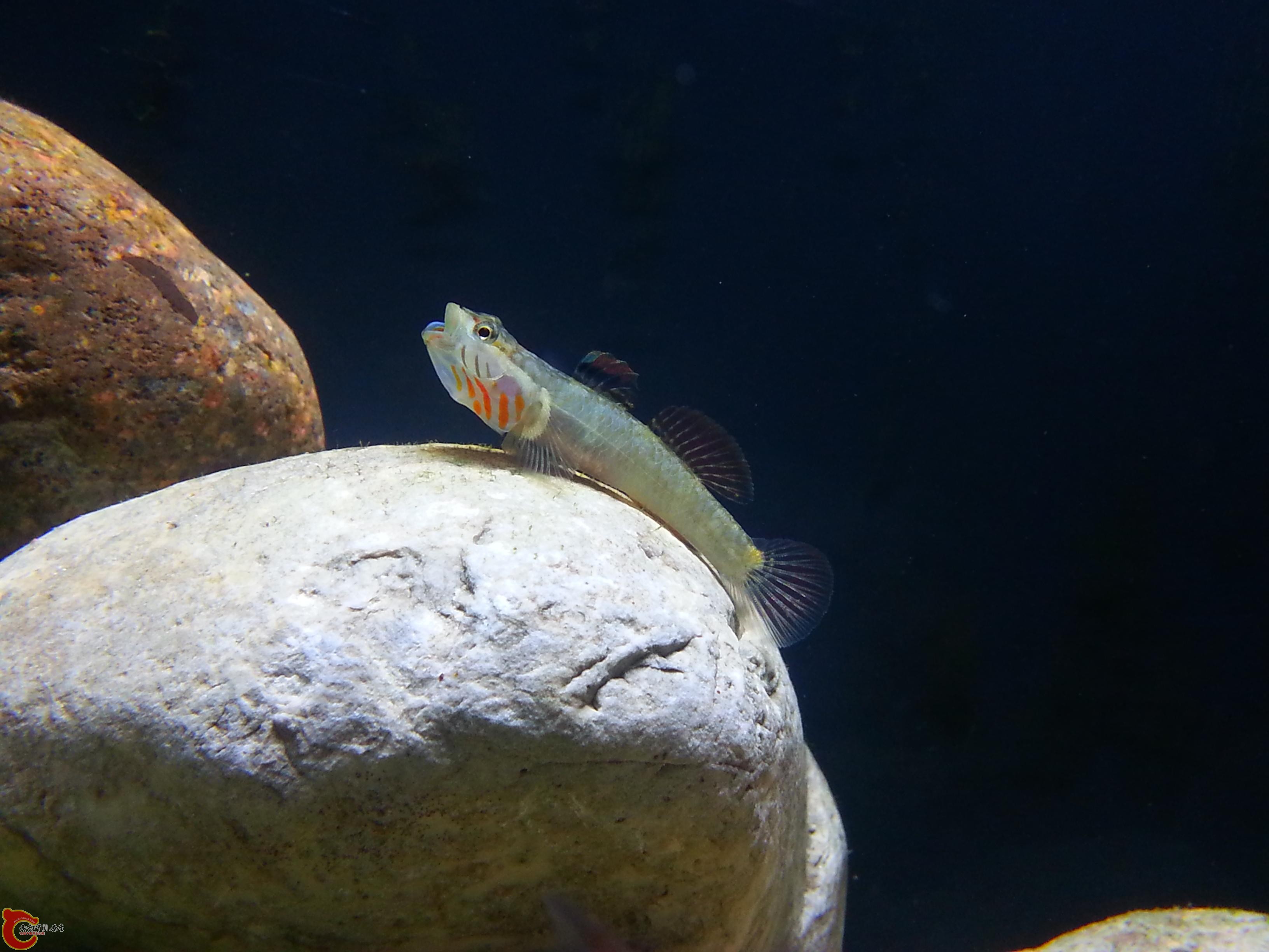 20151012_001809.JPG