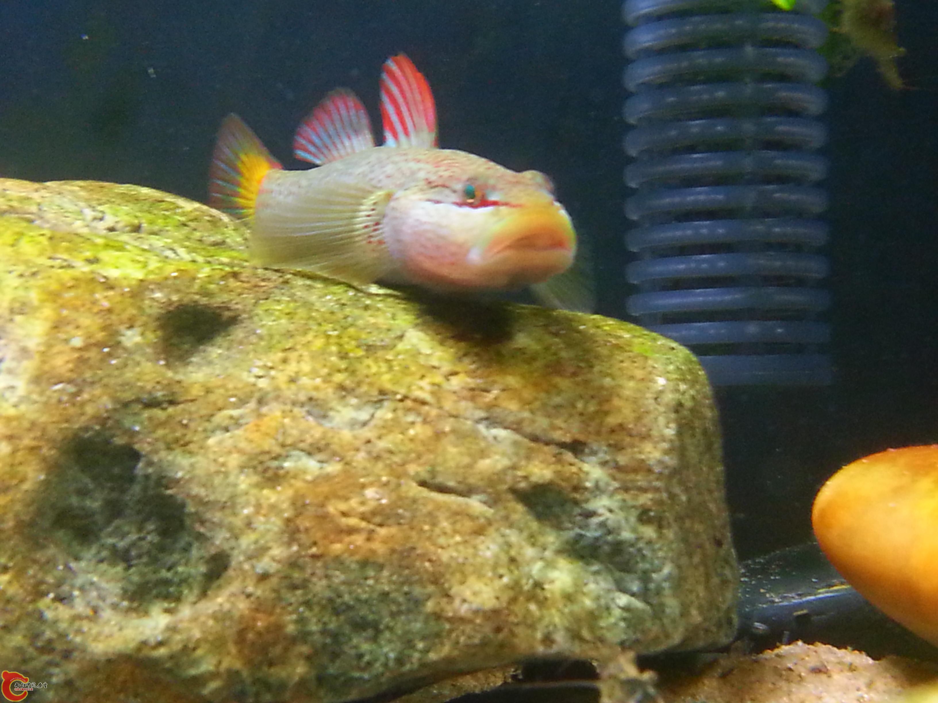 20151016_184529.JPG