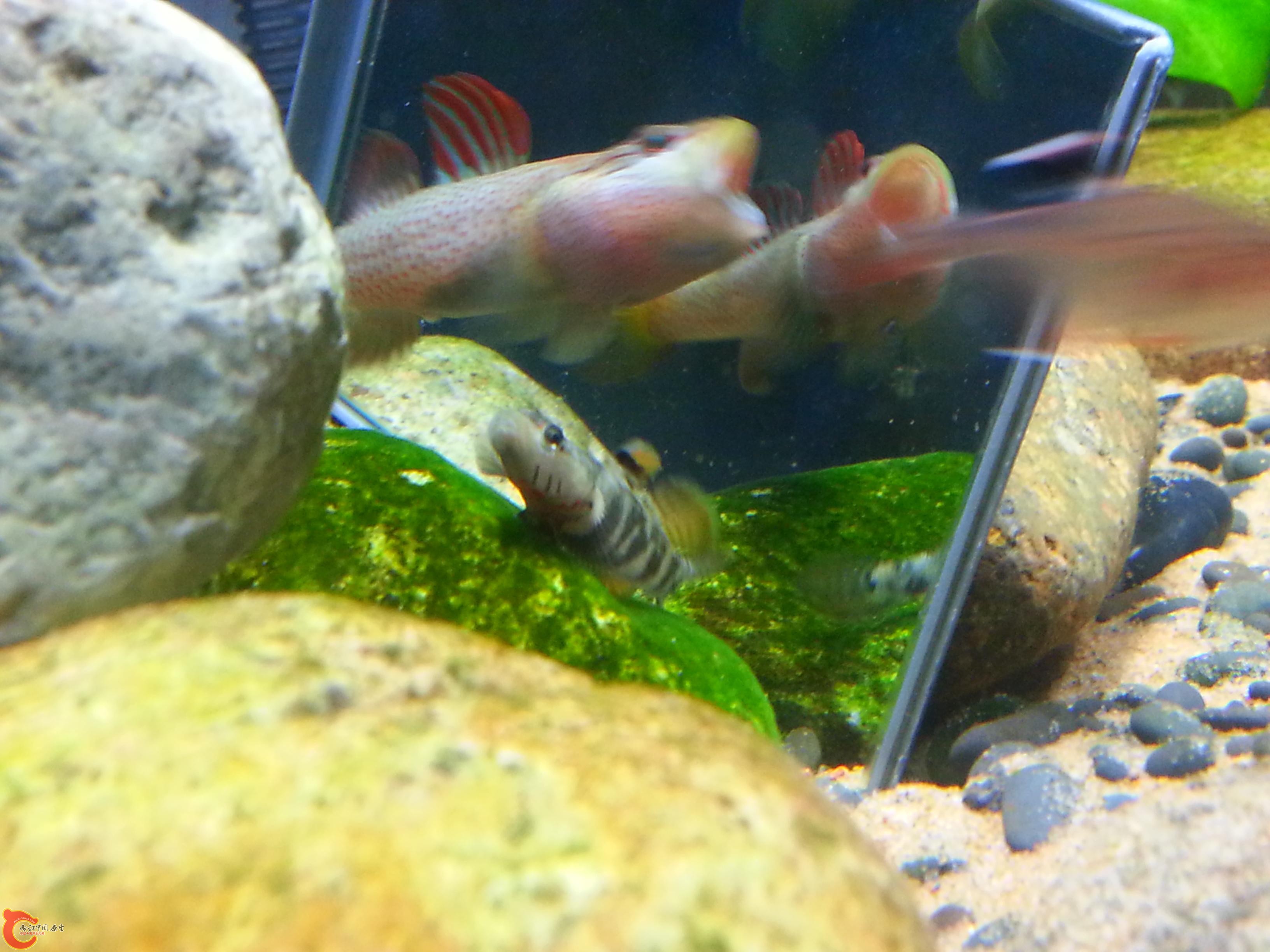 20151016_190508.JPG