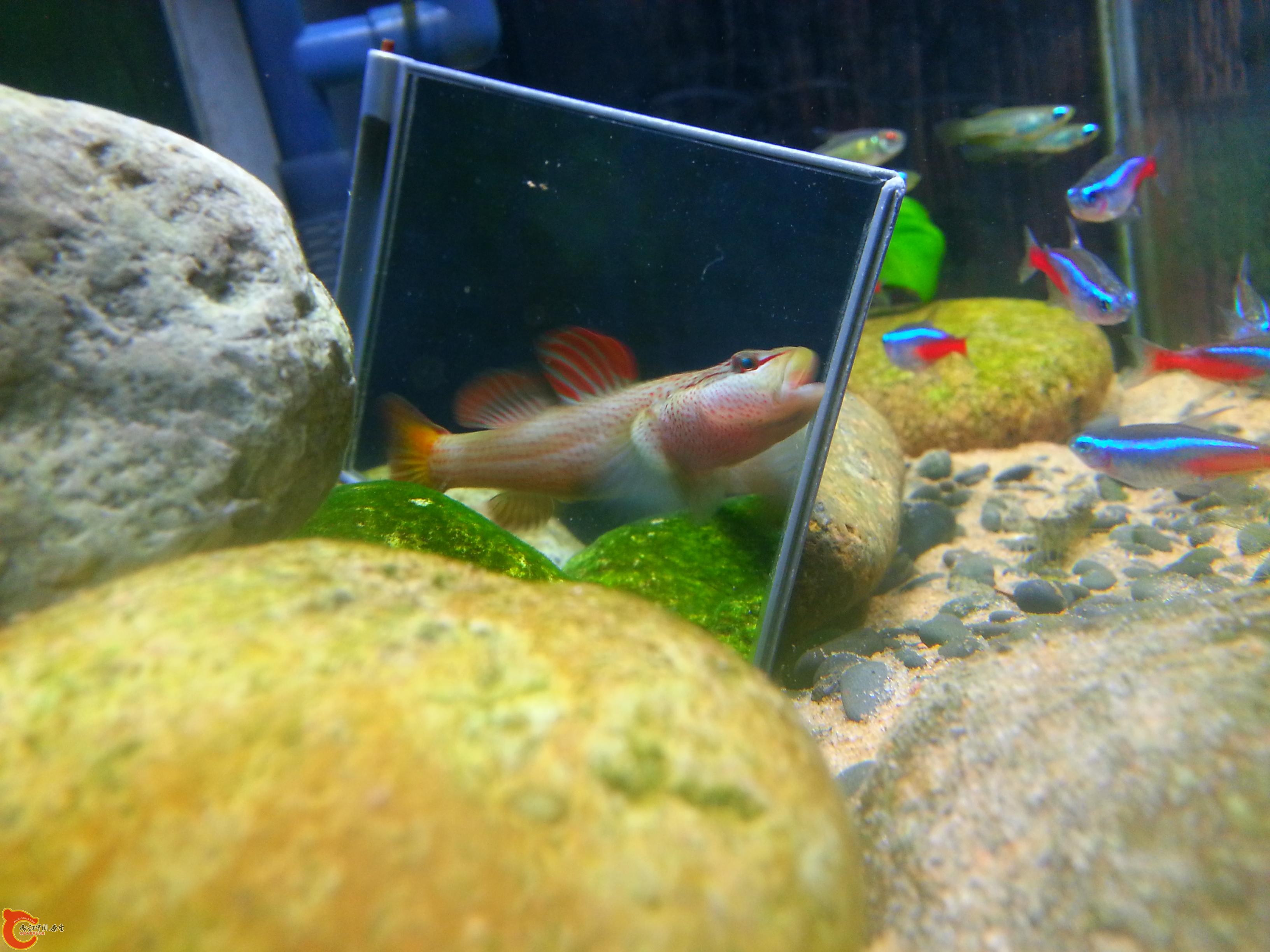 20151016_190639.JPG
