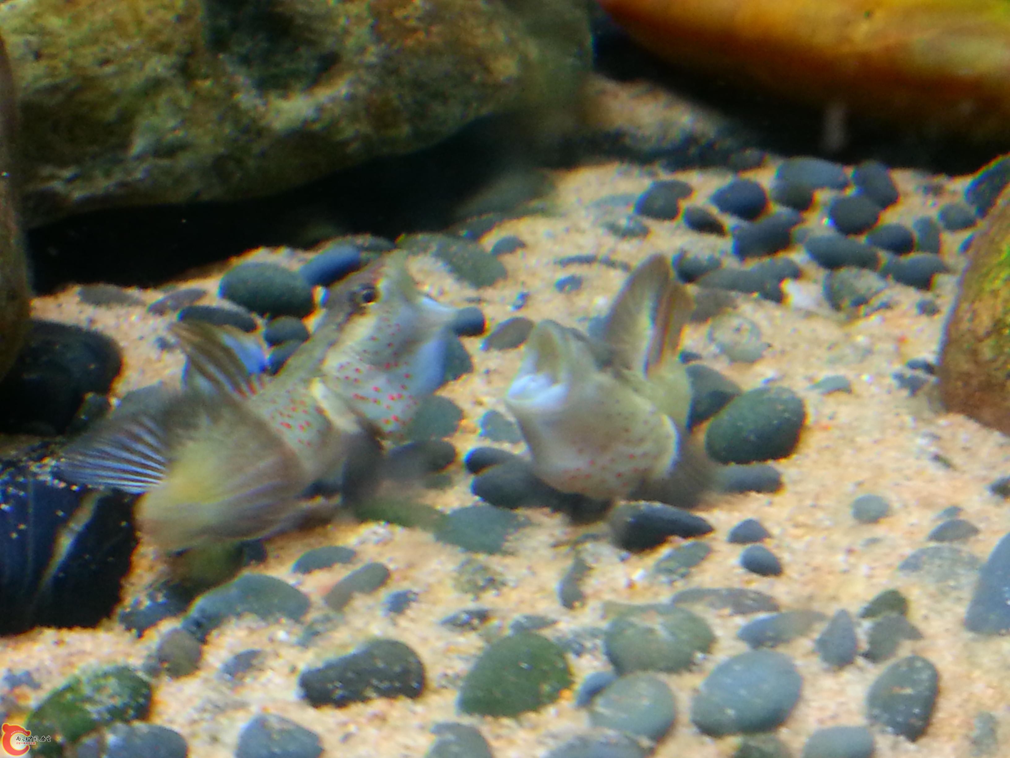 20151016_192212.JPG