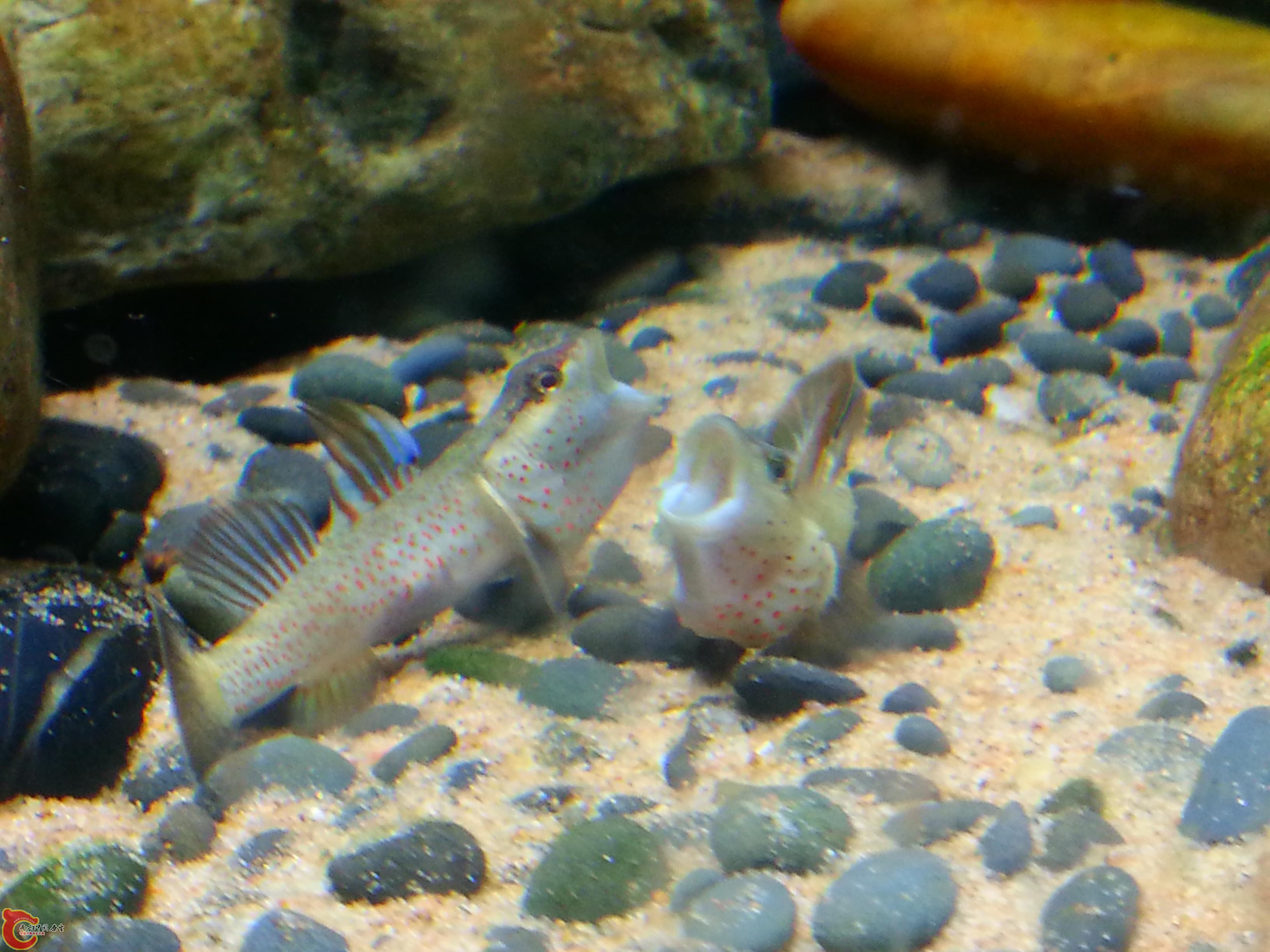 20151016_192213.JPG